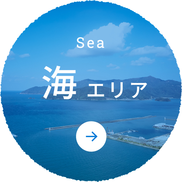 Sea 海エリア