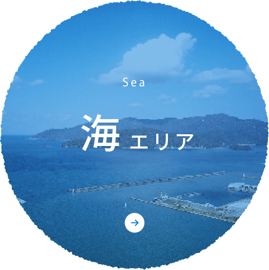 Sea 海エリア