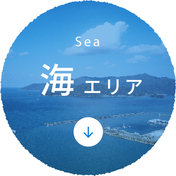 Sea 海エリア